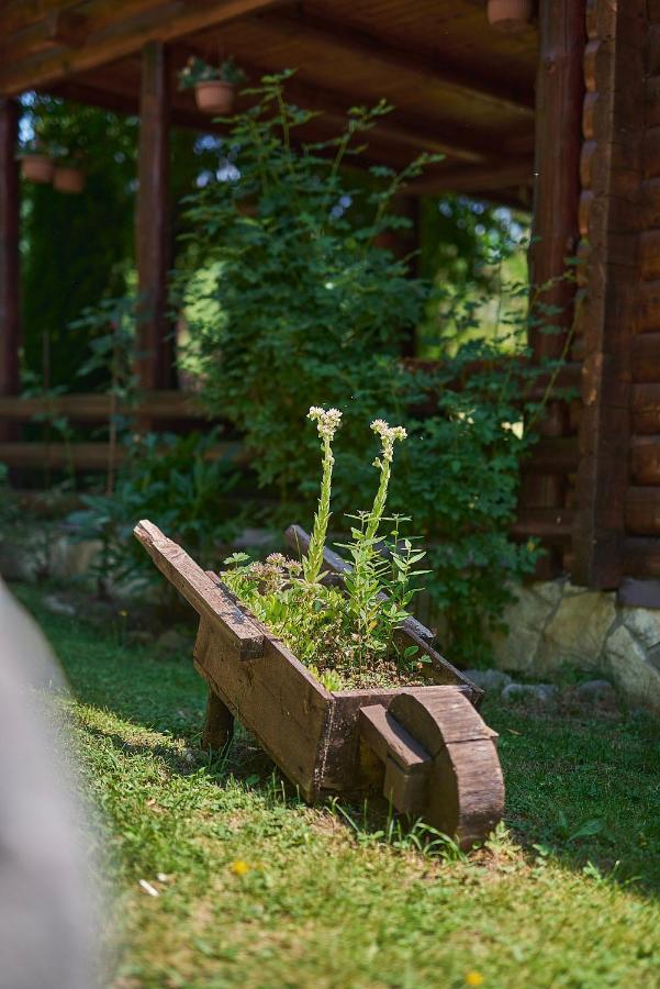 Country House Brijest Kolašin Esterno foto