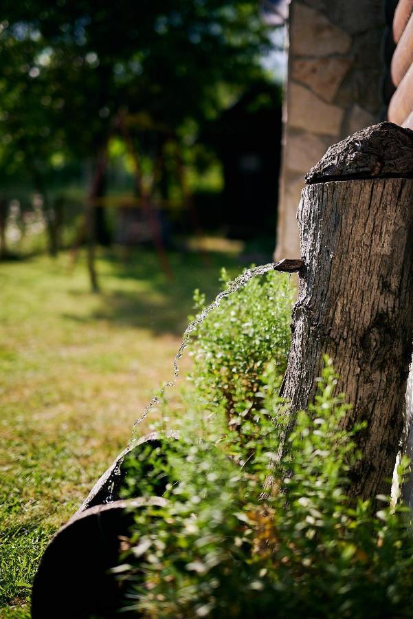 Country House Brijest Kolašin Esterno foto